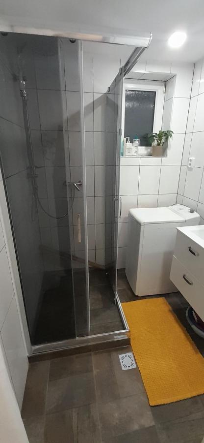 Ubytovanie Dana 皮耶什佳尼 外观 照片